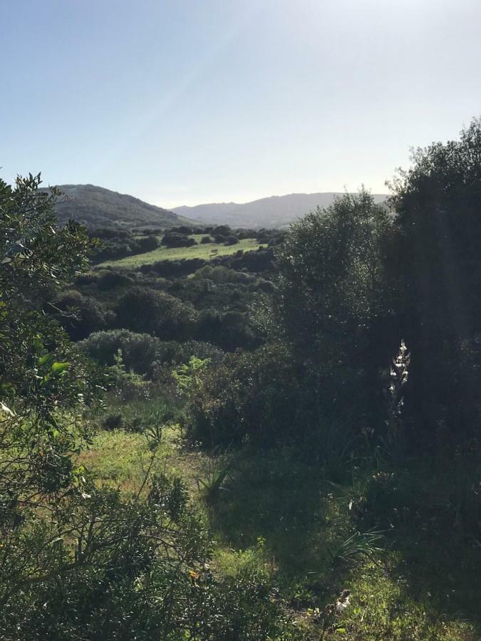 La Piana Holiday House Bassacutena 외부 사진